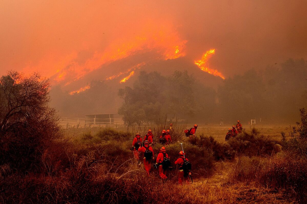 © Foto: Noah Berger/AP/dpa