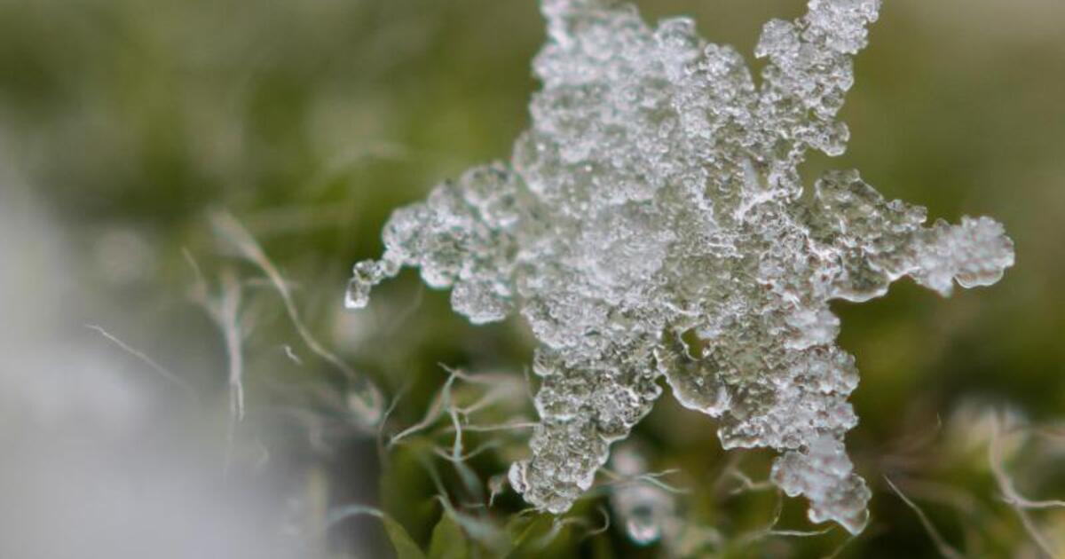 Erst Schnee, dann Regen: Das Wetter in Bayern | Radio Ramasuri