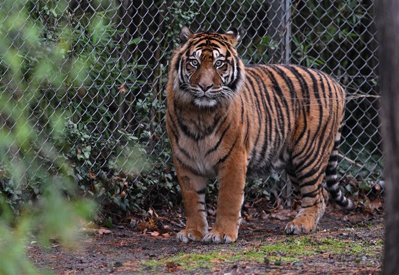 © Foto: Arne Dedert/dpa